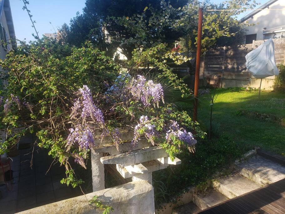 Studio Buena Vista Avec Terrasse Sur Jardin Bron Eksteriør billede